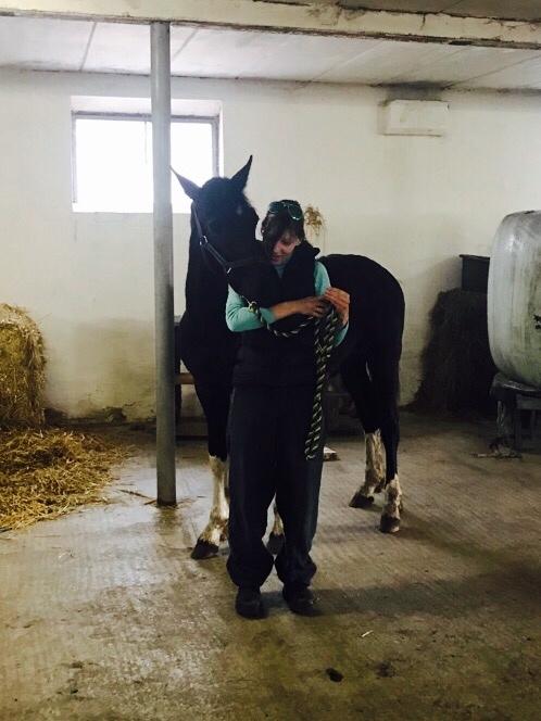 Barockpinto New Star  - Taget 1/4 - 17 baby leder efter de der æbler billede 5