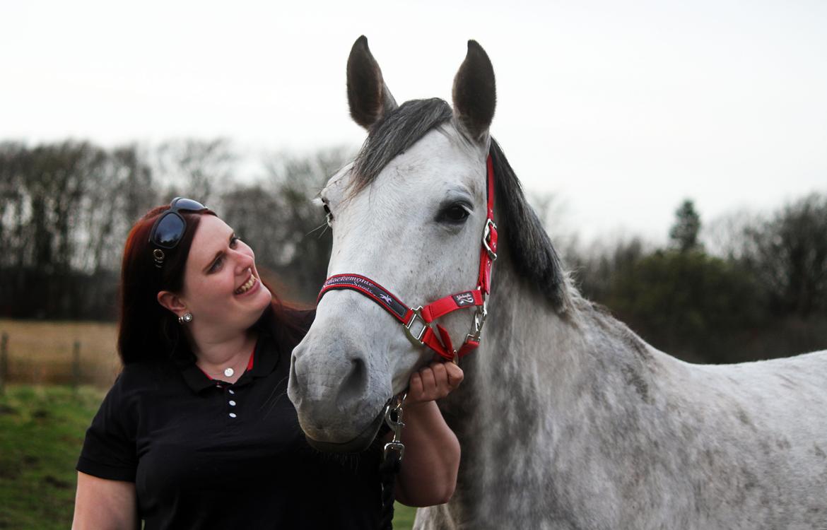 Dansk Varmblod Lambrié Vejen (Avlshoppe) - NYT: 2 år med denne vidunderlige dame <3 Min store stolthed <3 billede 11