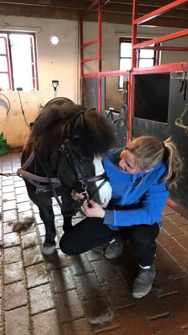 Anden særlig race Glimmer ~ SOLGT billede 11