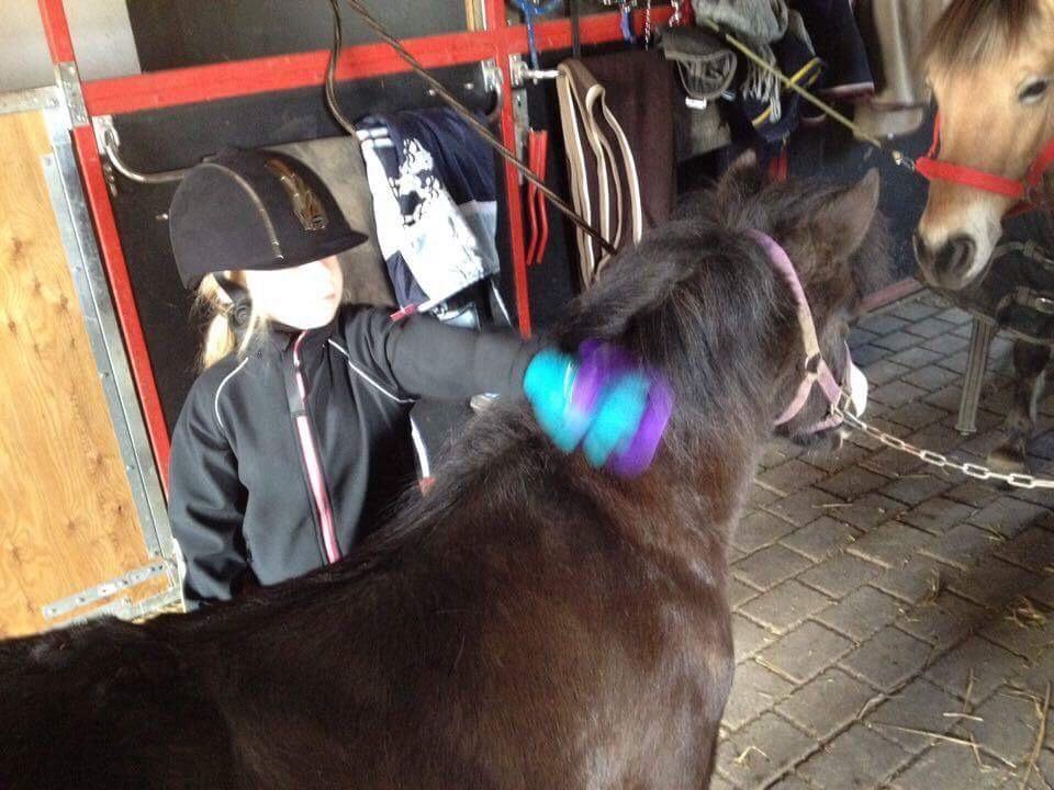 Anden særlig race Glimmer ~ SOLGT billede 12