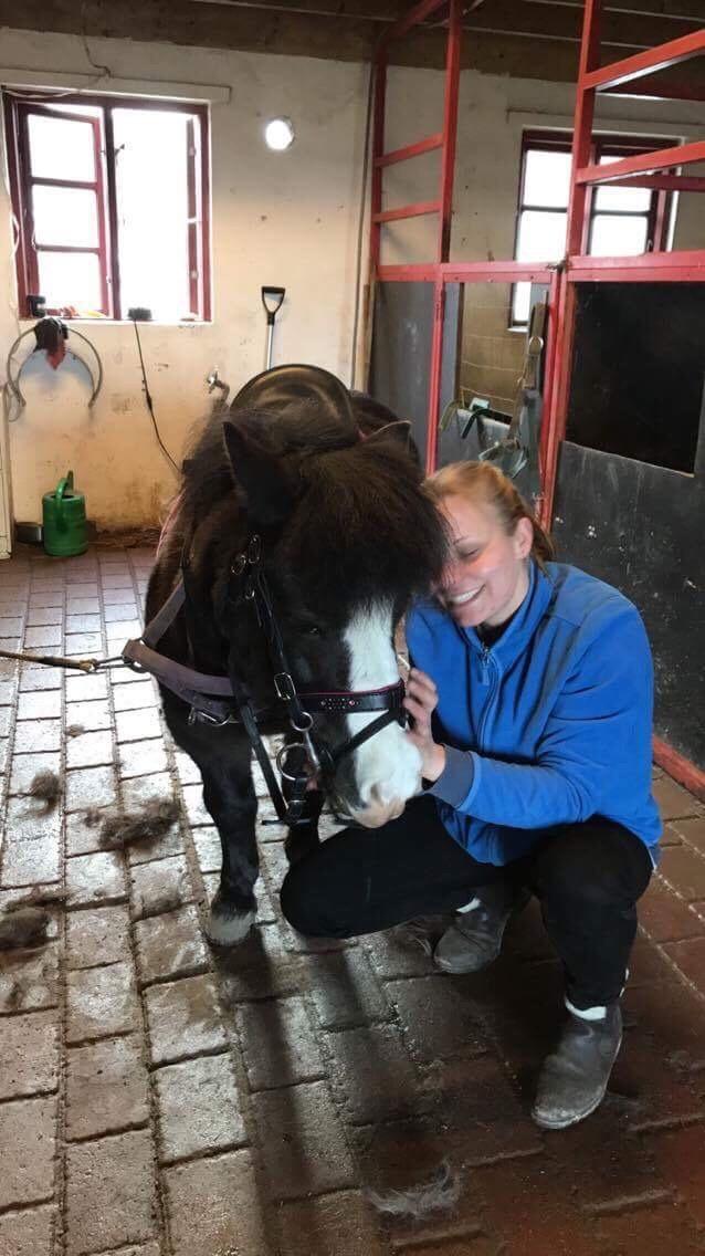 Anden særlig race Glimmer ~ SOLGT billede 1