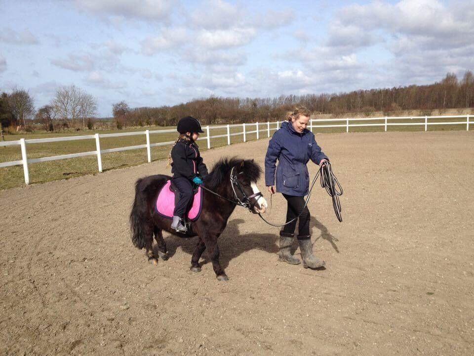 Anden særlig race Glimmer ~ SOLGT billede 16