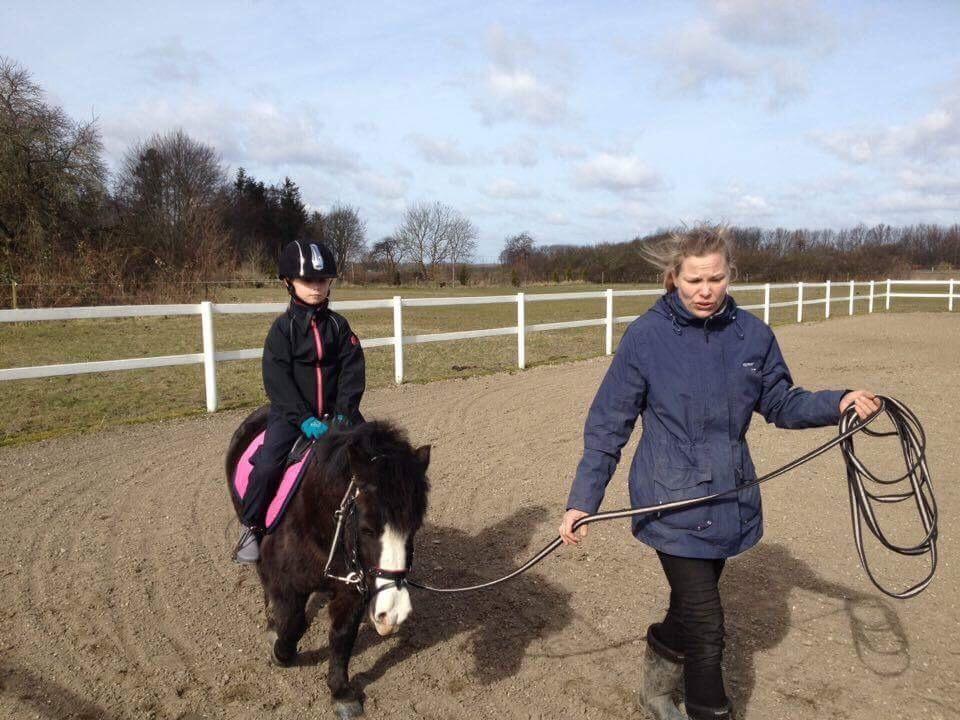 Anden særlig race Glimmer ~ SOLGT billede 17