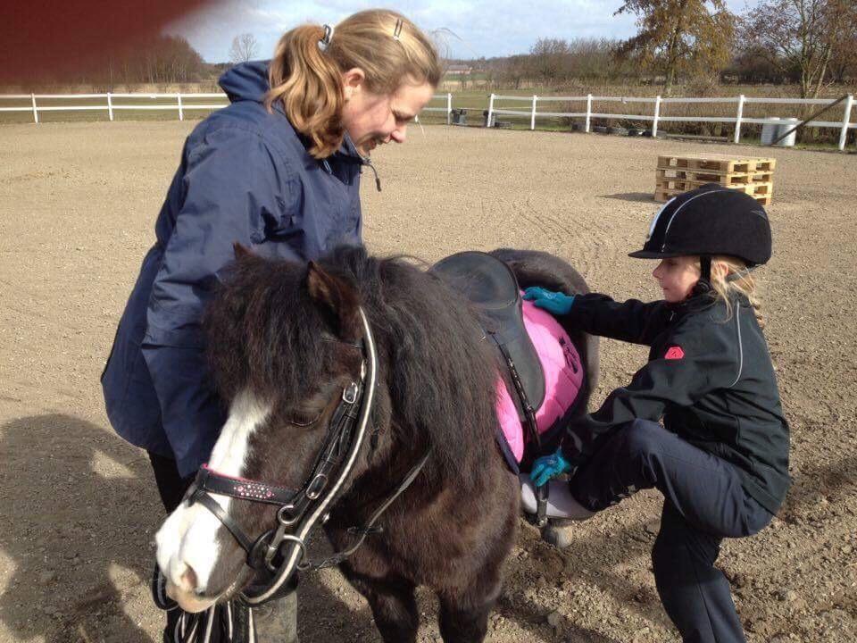 Anden særlig race Glimmer ~ SOLGT billede 18