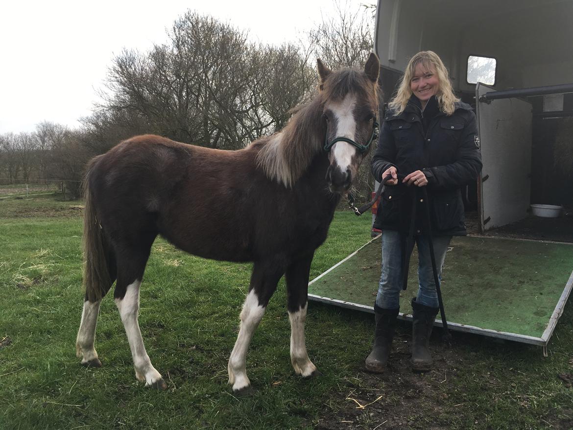 Anden særlig race Milky Slice - SOLGT billede 13