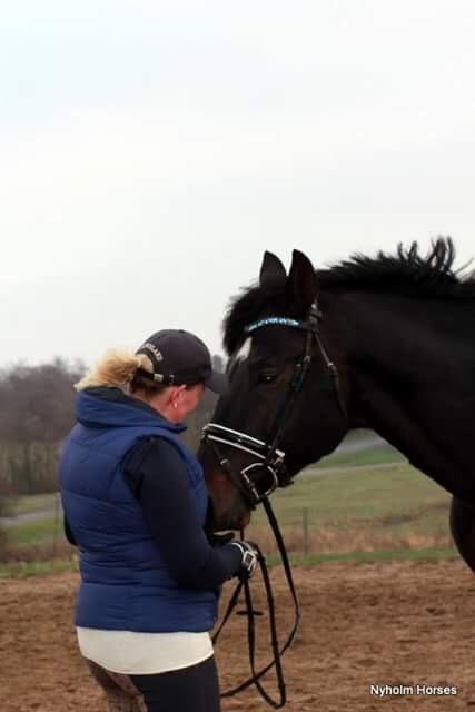 Oldenborg Renti's Zeus billede 18