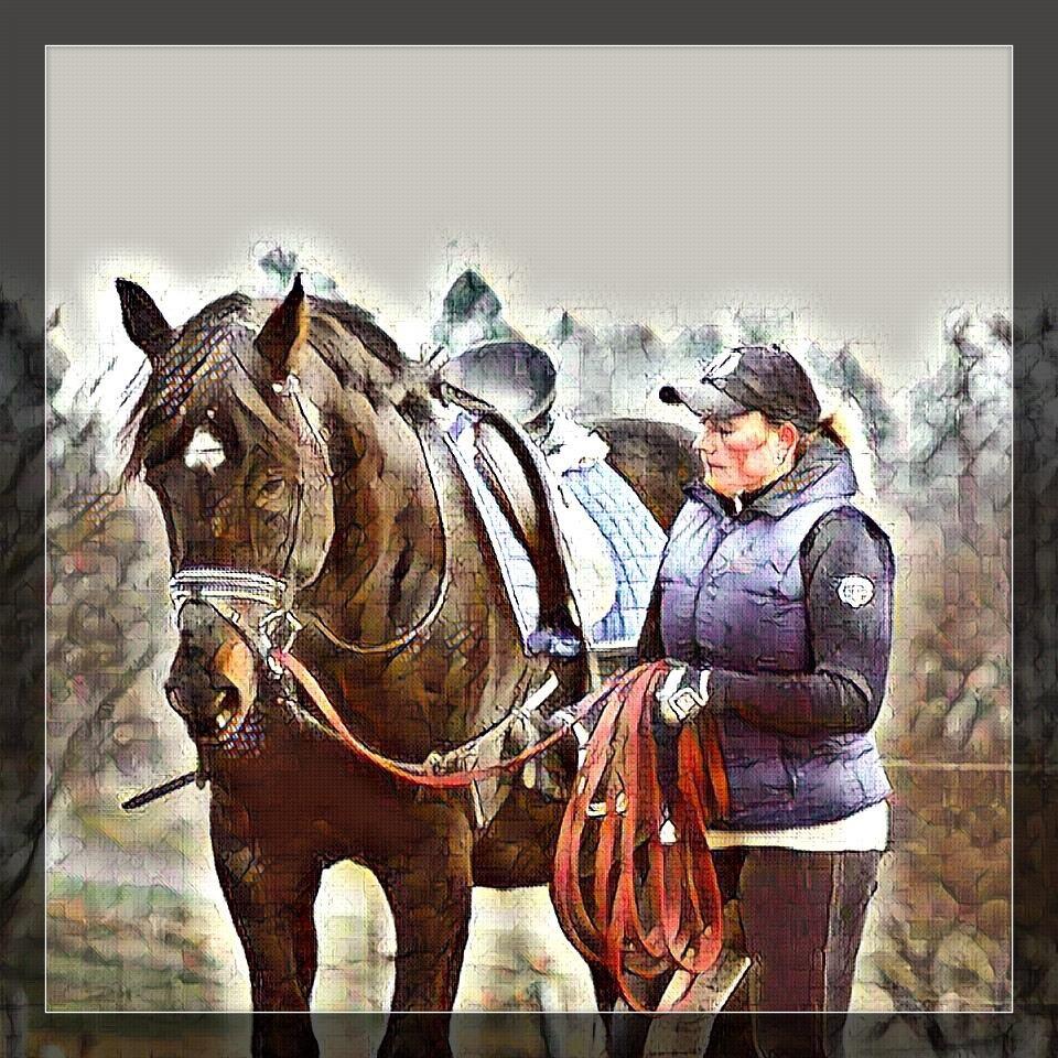 Oldenborg Renti's Zeus billede 22