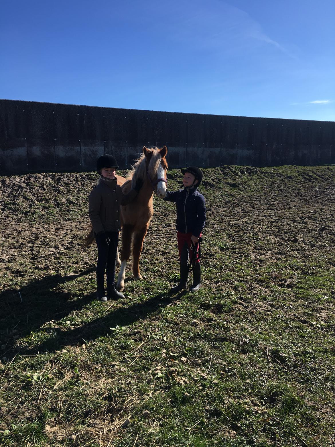 DSP Dragon  billede 1