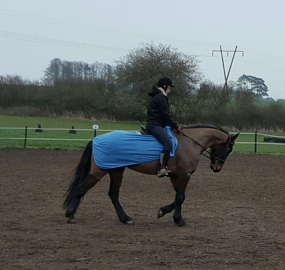 Anden særlig race Sacha  billede 14