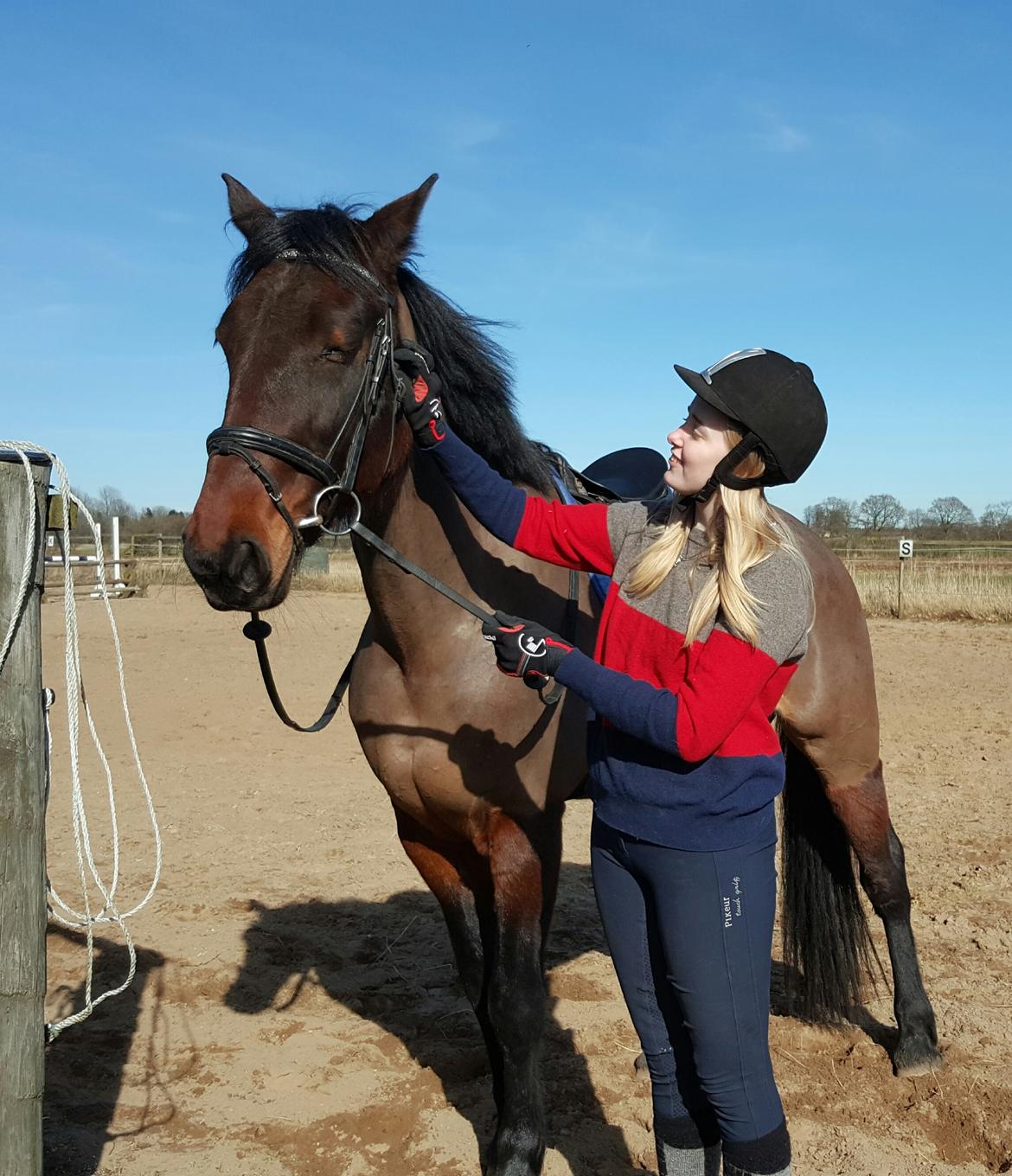 Anden særlig race Sacha  billede 19