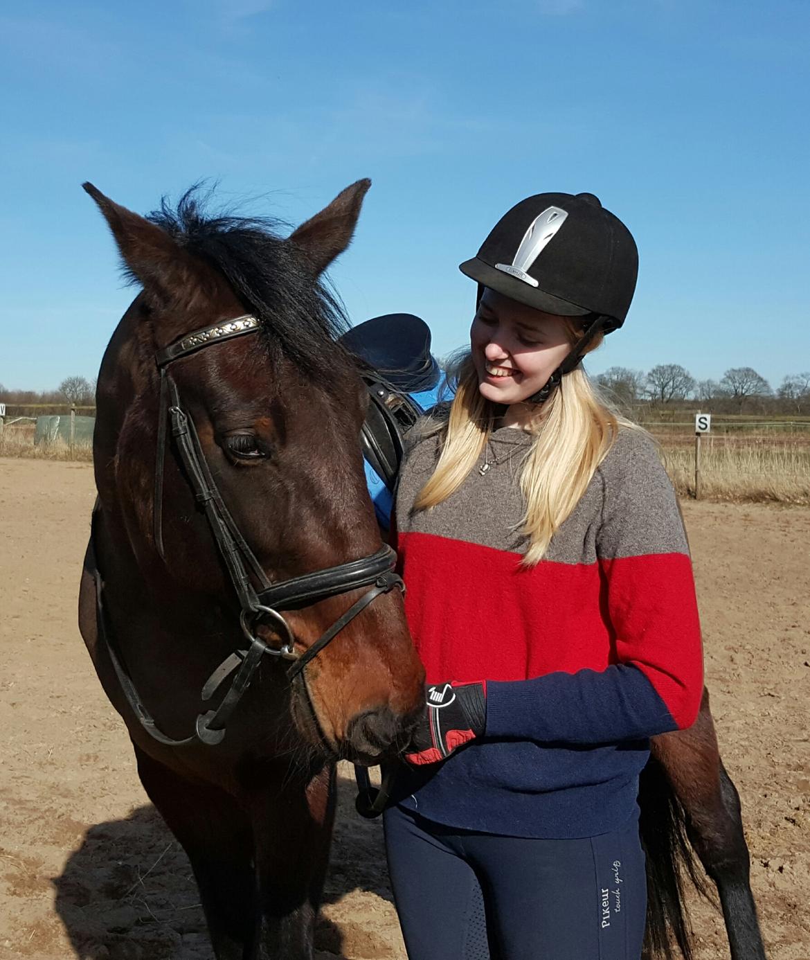 Anden særlig race Sacha  billede 5