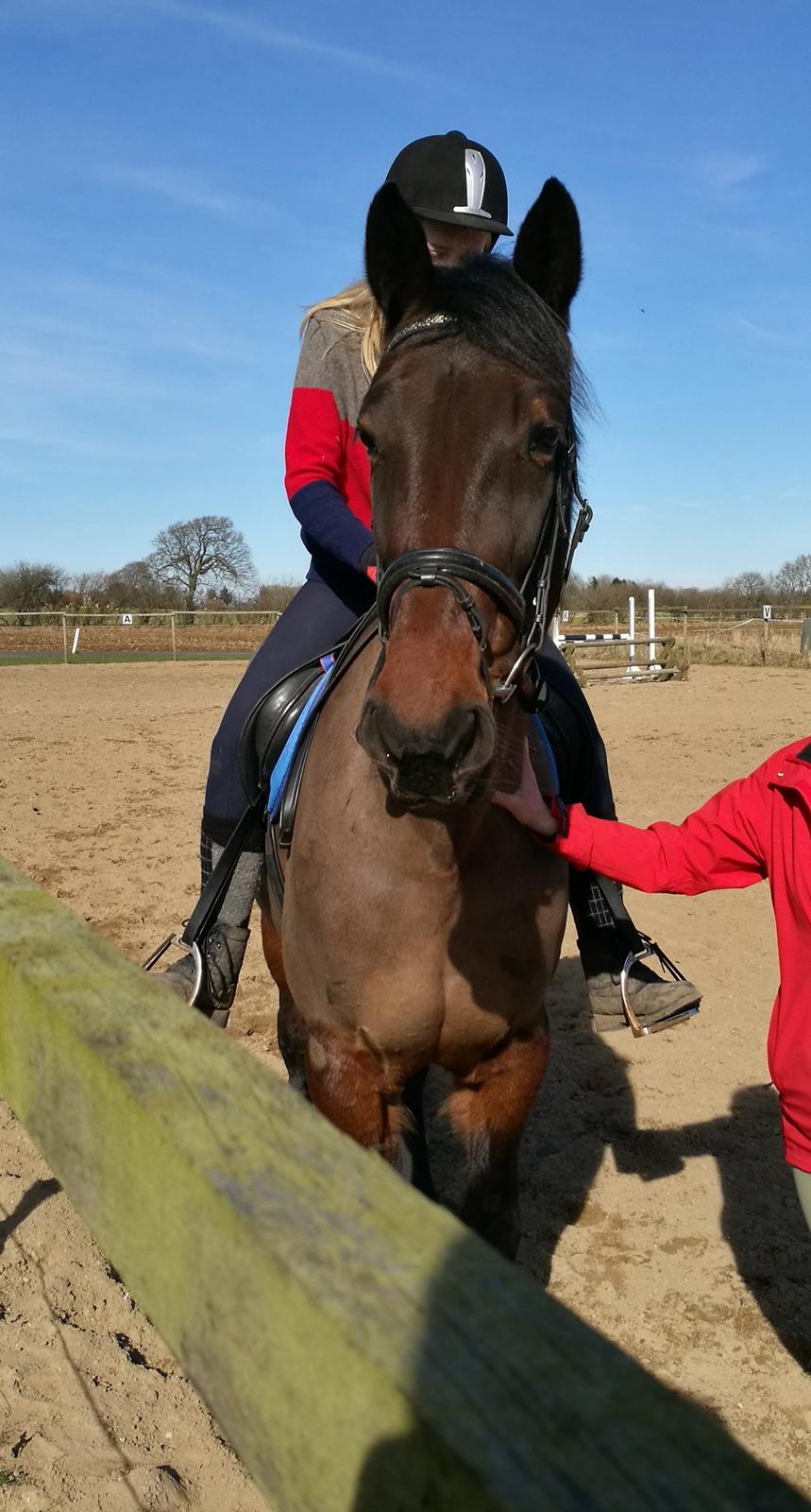 Anden særlig race Sacha  billede 12