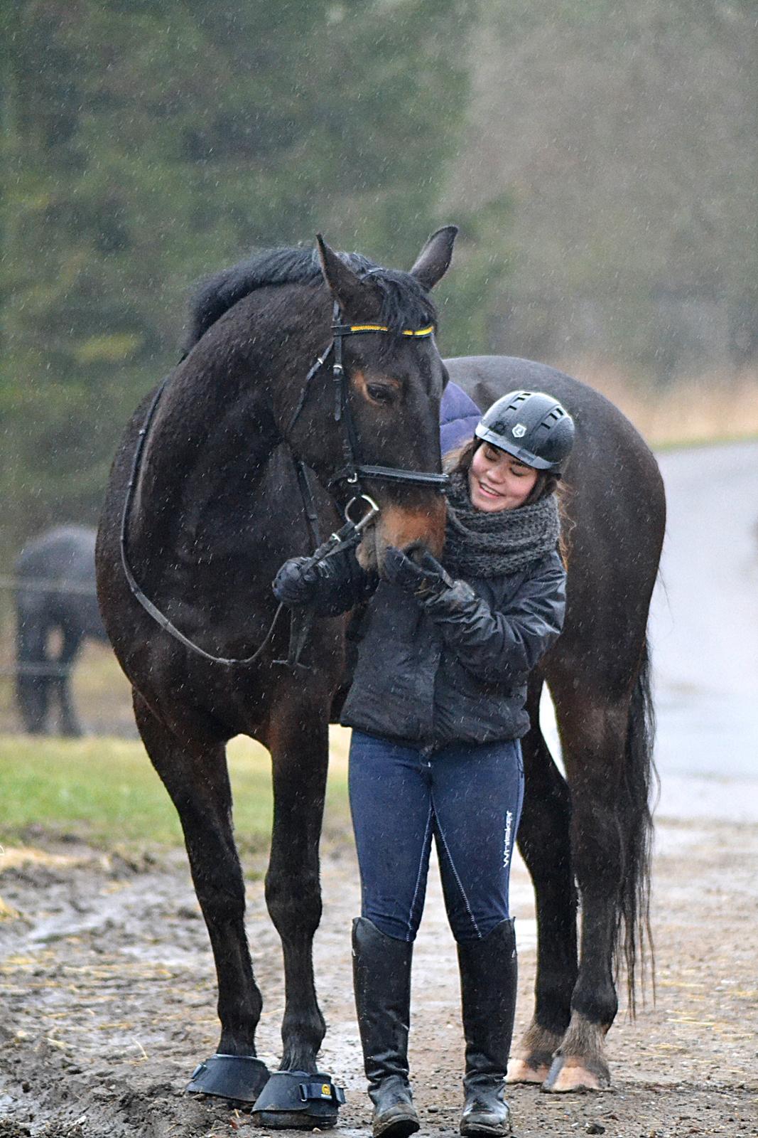 Anden særlig race Nyskovens silas af skovsøgård billede 20
