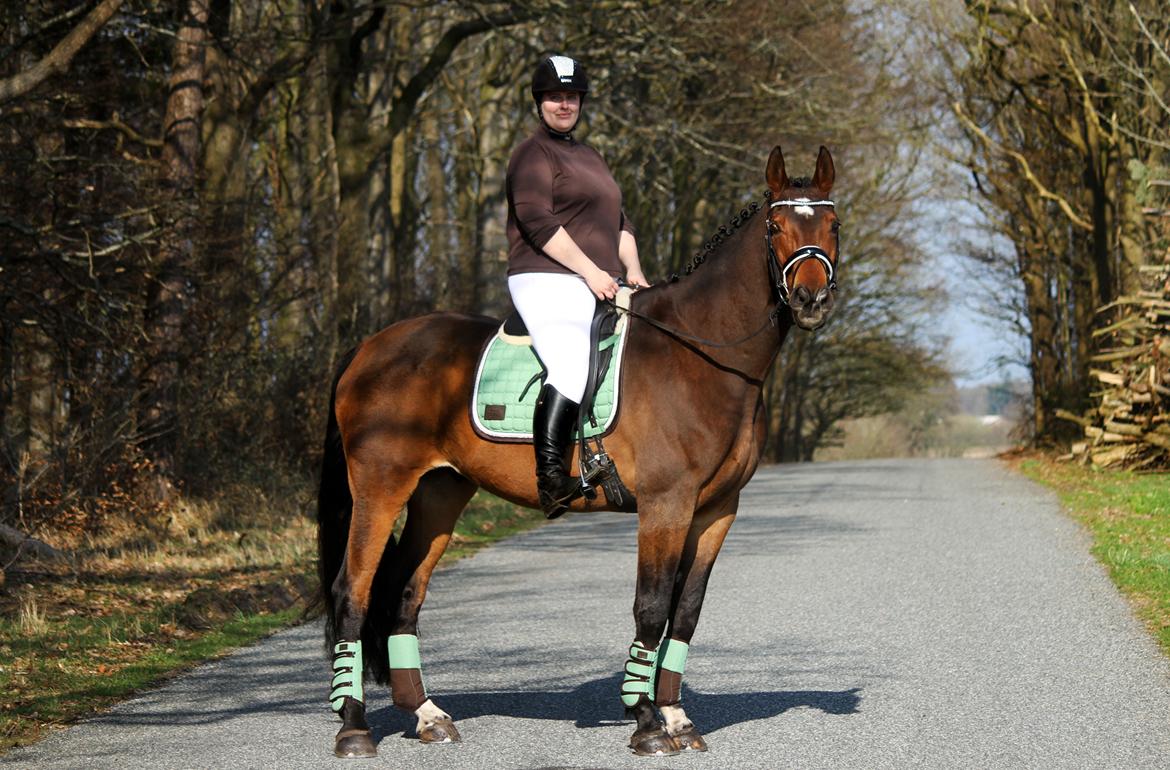 Anden særlig race Dalvangs Casper - Min lækre dreng er virkelig ved at være tilbage i form <3 For et par måneder siden, virkede alt dette helt umuligt billede 21