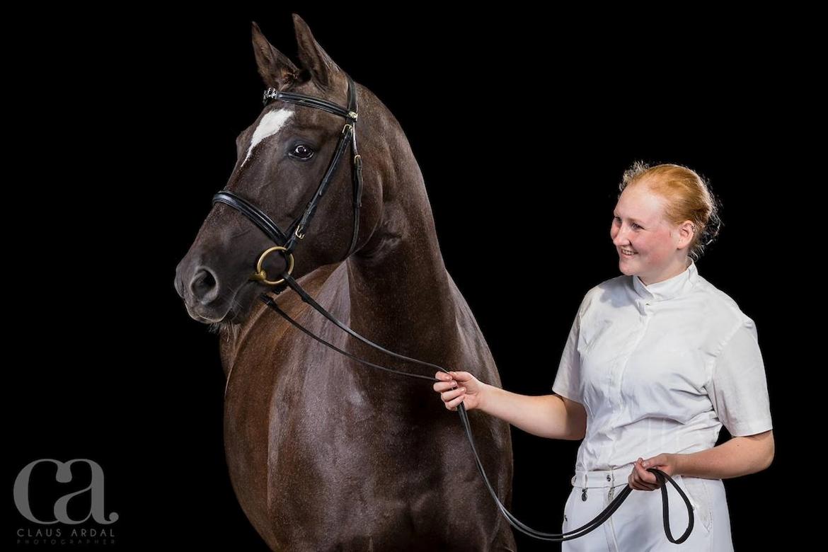 Trakehner Madam Mim billede 4