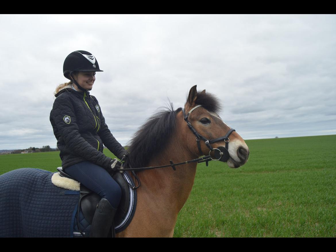 Anden særlig race Lucky billede 10