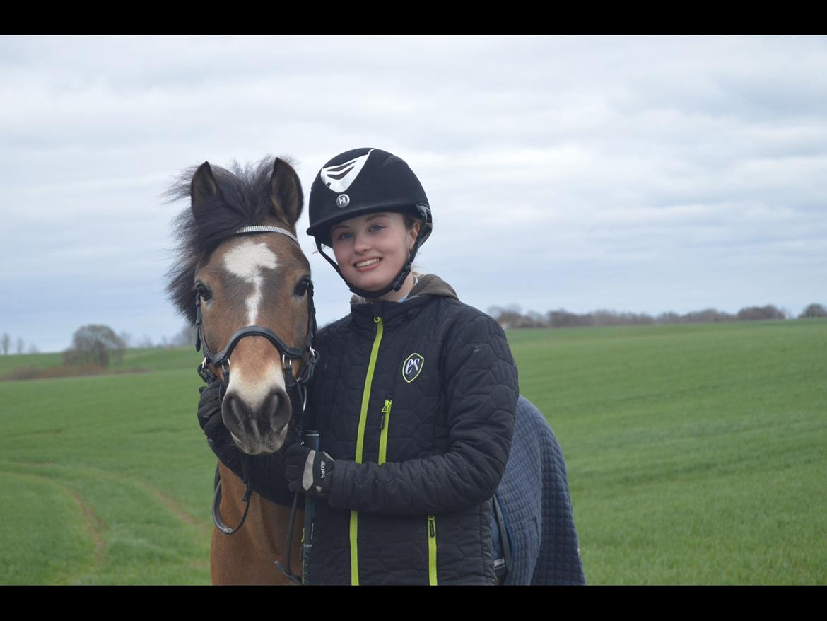 Anden særlig race Lucky billede 11
