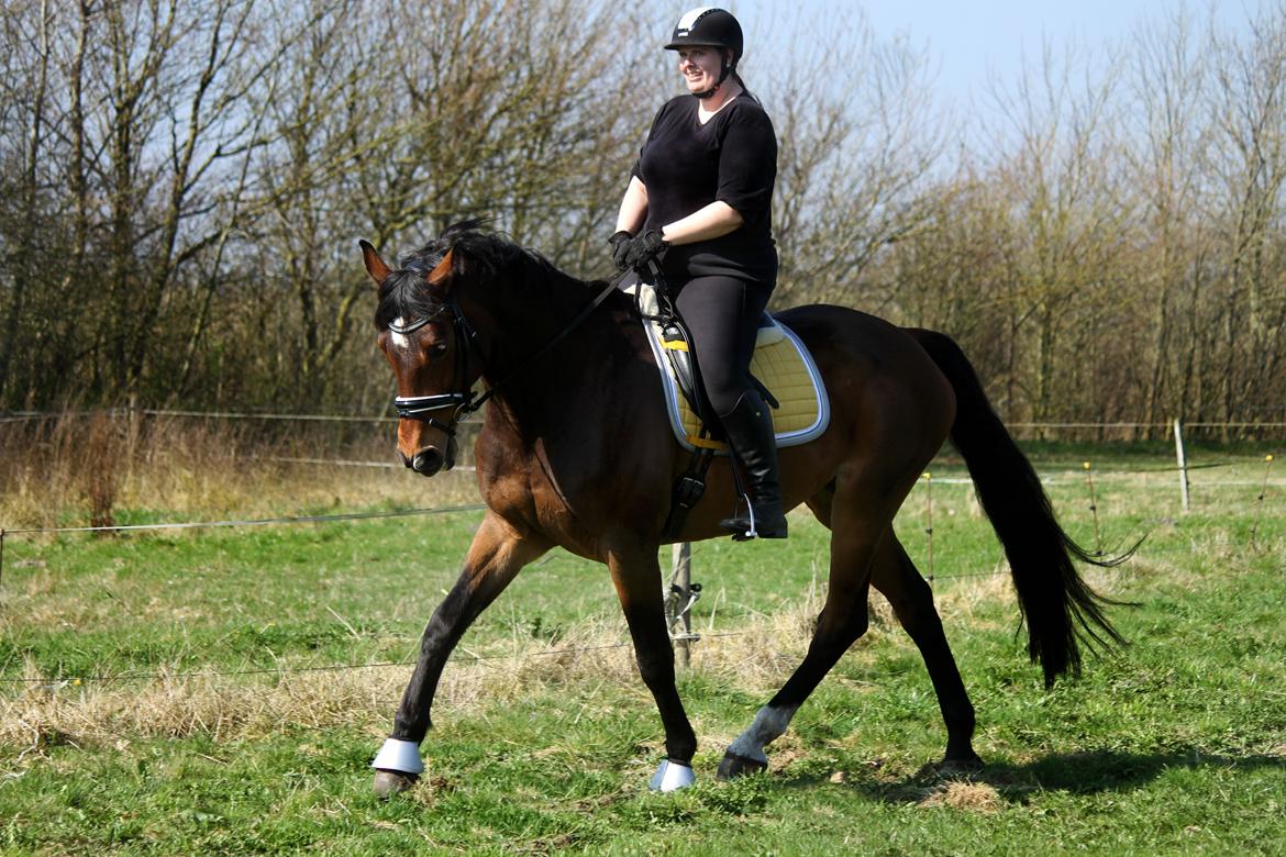 Anden særlig race Dalvangs Casper - Tilbage på sporet <3 billede 20