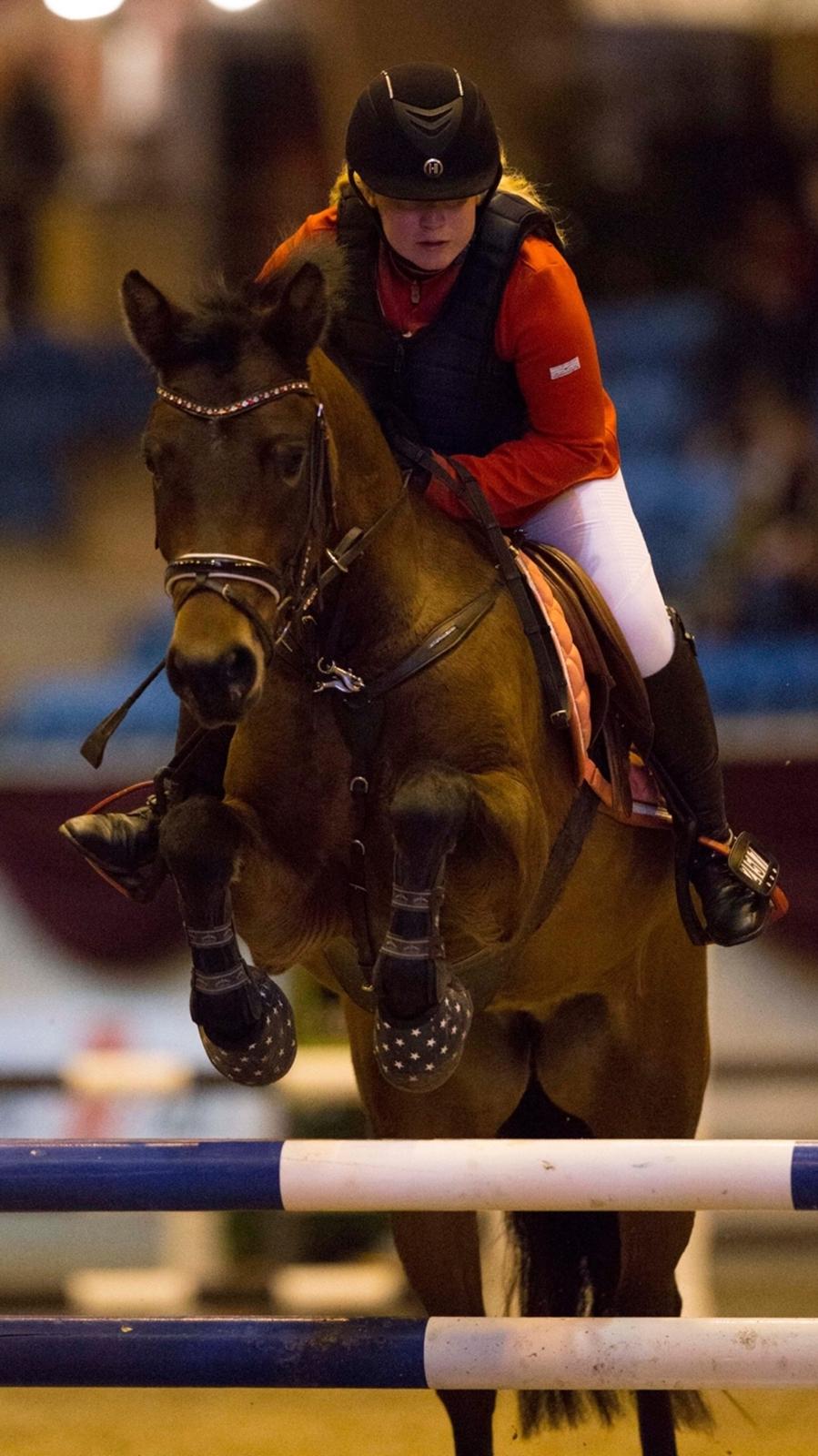 New Forest Vognmandgårdens Bernadotte billede 23