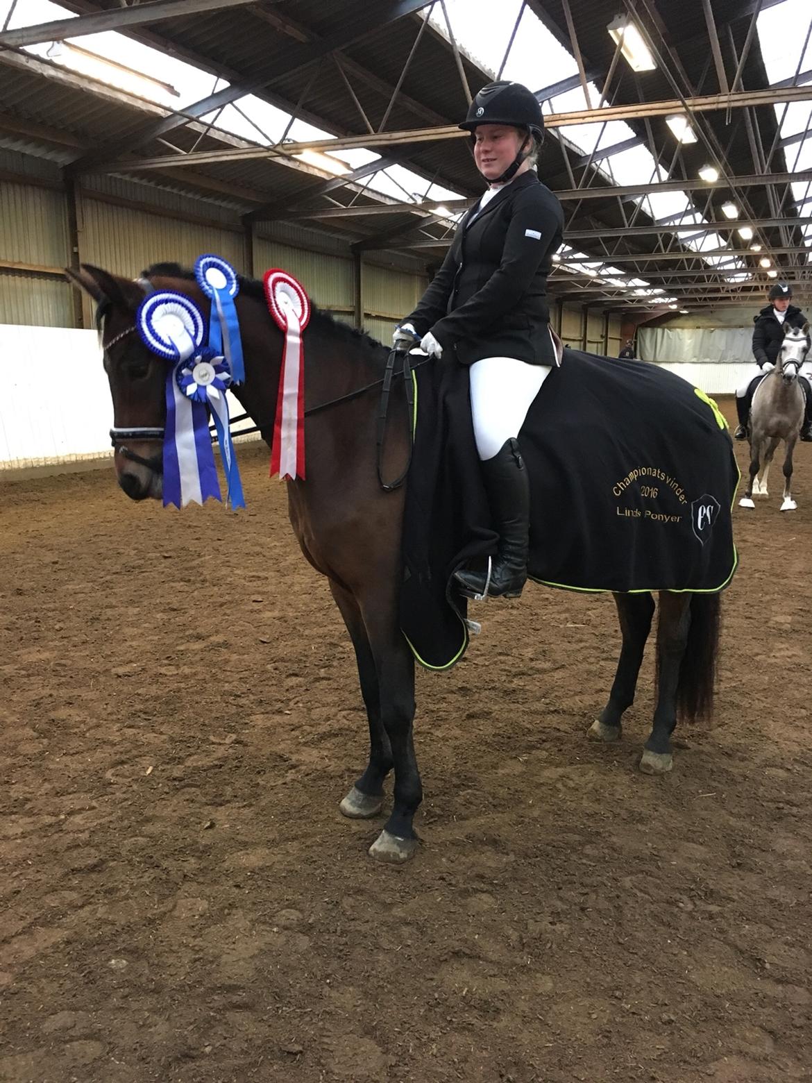 New Forest Vognmandgårdens Bernadotte billede 25