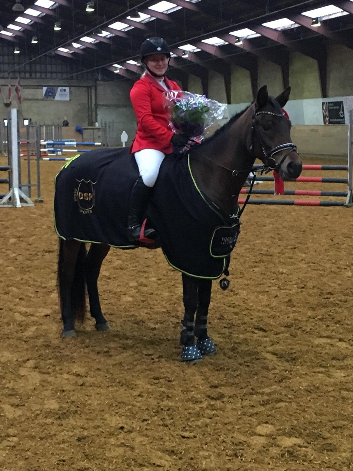 New Forest Vognmandgårdens Bernadotte billede 26