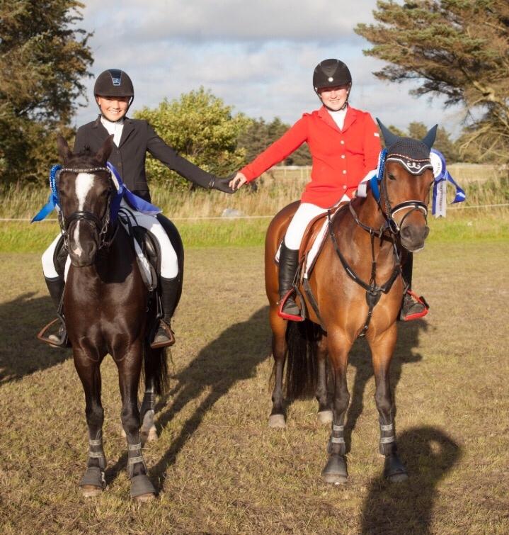 New Forest Vognmandgårdens Bernadotte billede 28