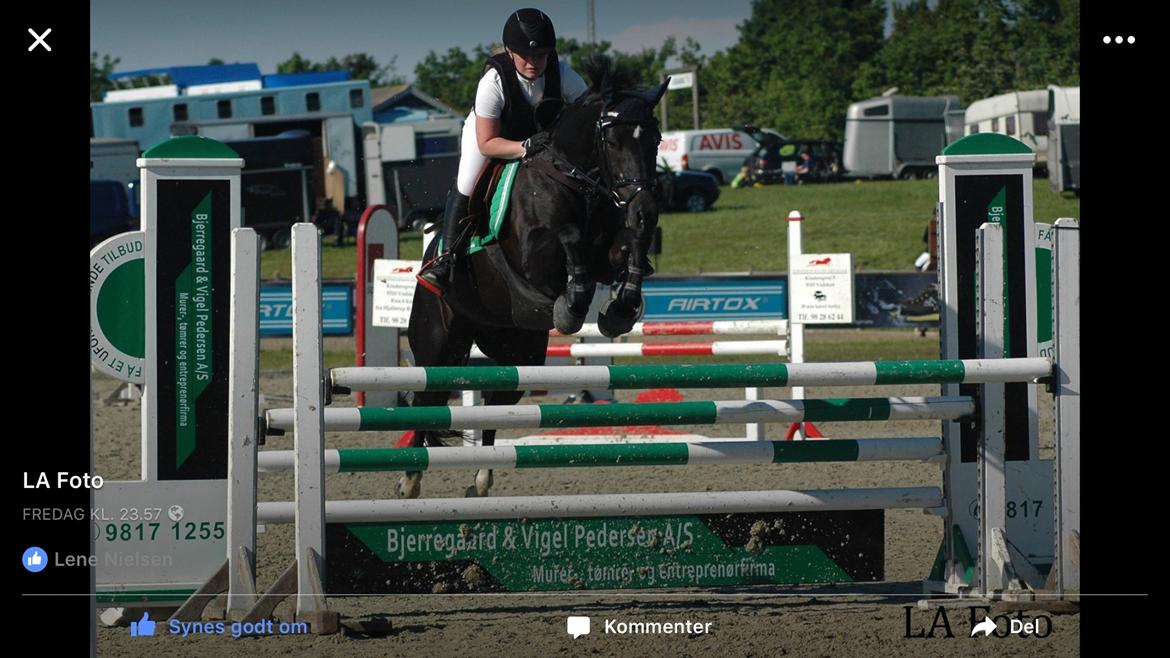 New Forest Vognmandgårdens To Night - A Pony - Hjallerup Marked 2016 billede 32