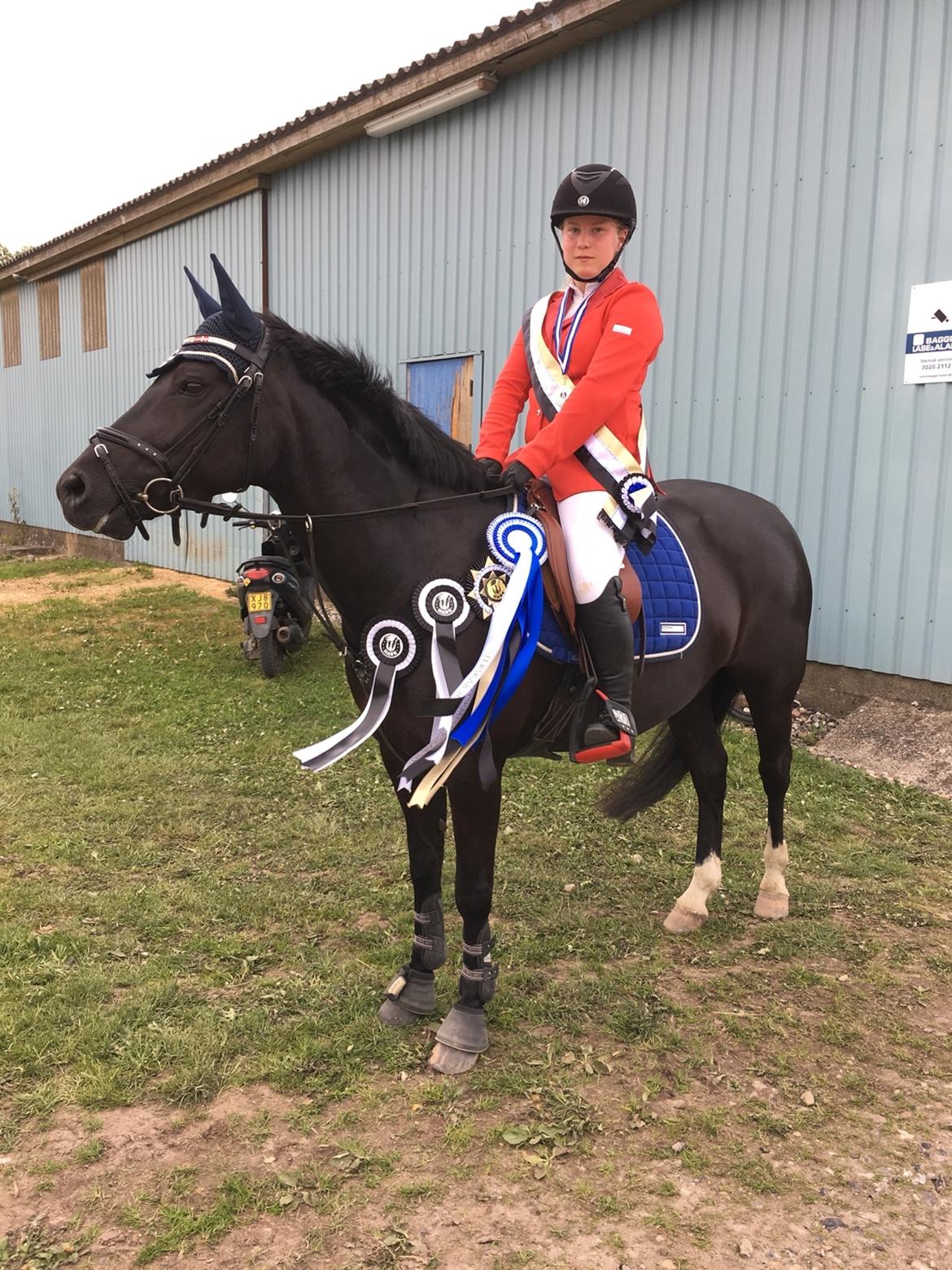 New Forest Vognmandgårdens To Night - A Pony - Harridslev Øst Jysk Mesterskab 2016 billede 33