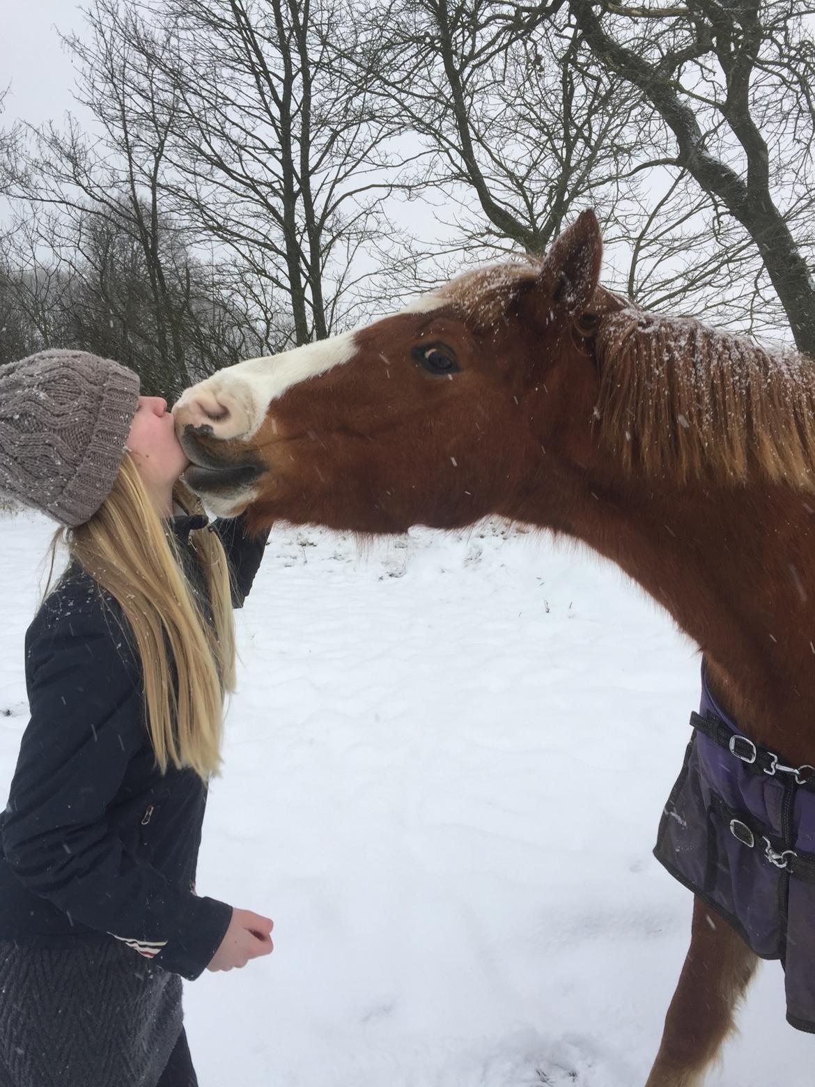 Anden særlig race Milando billede 8