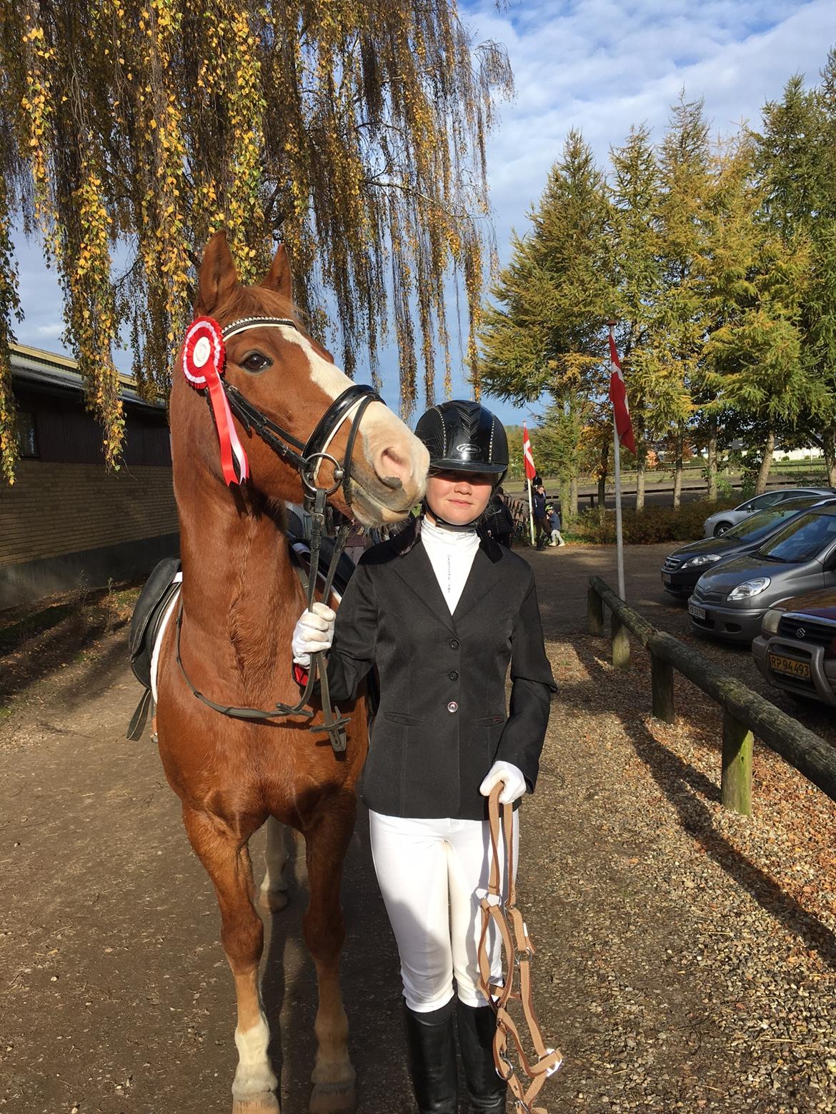 Anden særlig race Milando - Åhh hvor jeg elsker den pony, 1. Plads til vores andet stævne sammen!!!!! billede 9