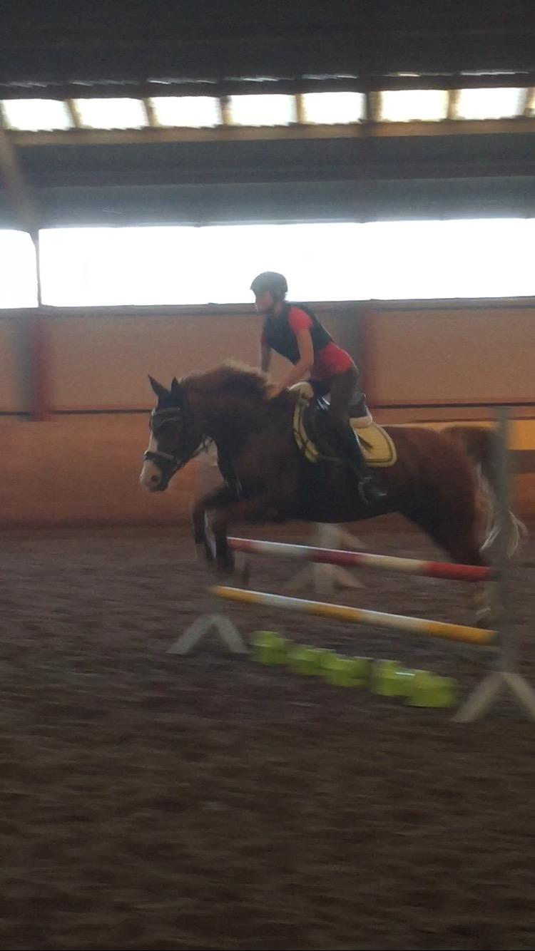 Anden særlig race Milando - Jeg ved godt hvem min bedste ven er, ikke ham som giver mig mod til at springe, men ham som tager springet med mig.  billede 10