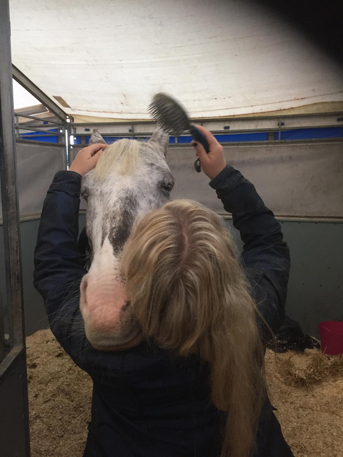 Anden særlig race Spot the dot billede 2