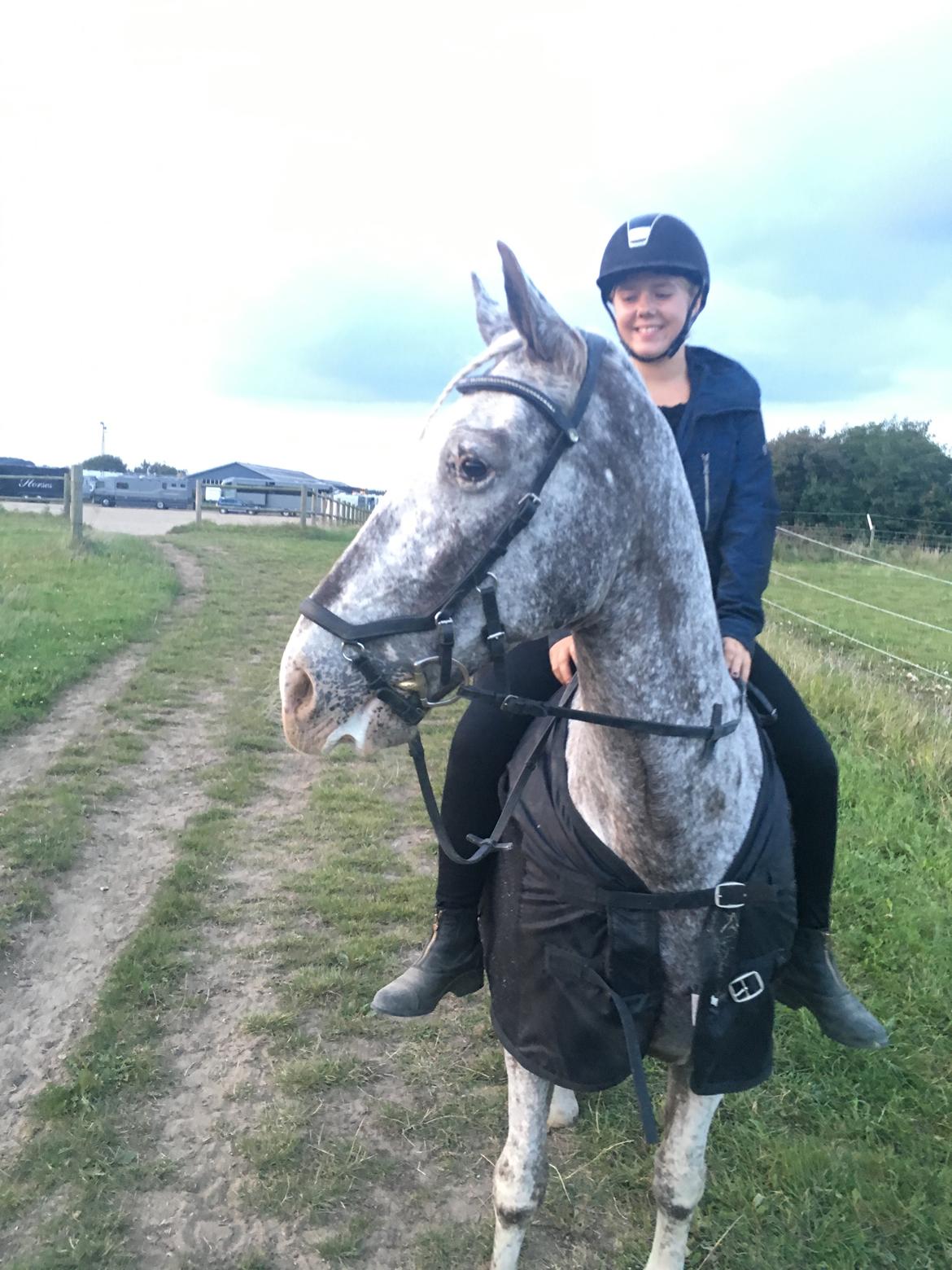 Anden særlig race Spot the dot billede 5