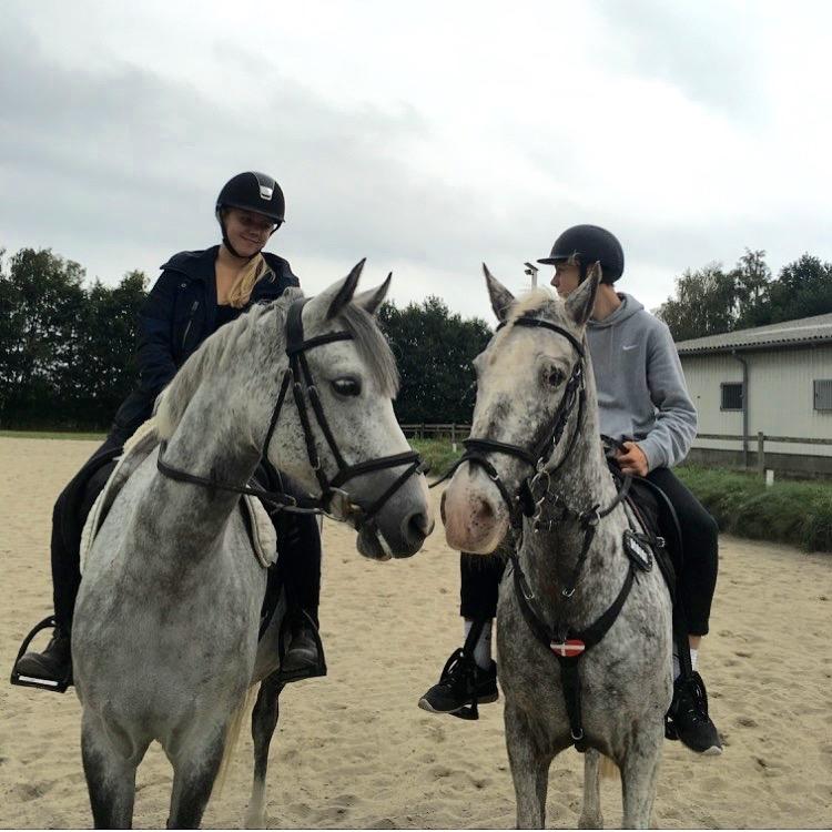 Anden særlig race Spot the dot billede 6