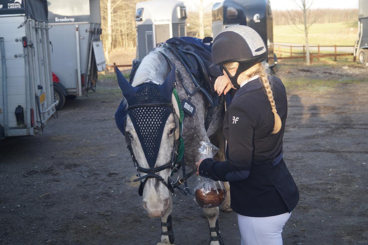 Anden særlig race Spot the dot billede 7