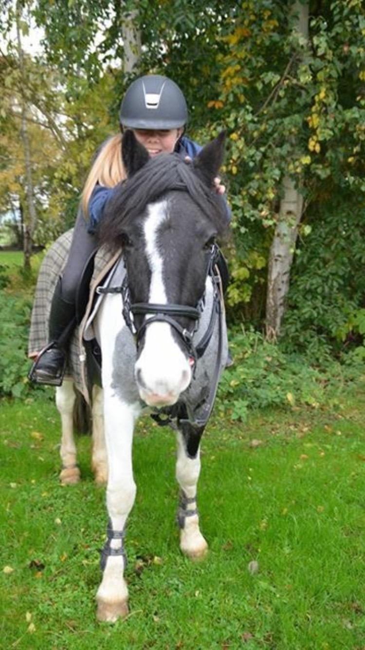 Anden særlig race Clements Stardust |*MY STAR*| billede 16