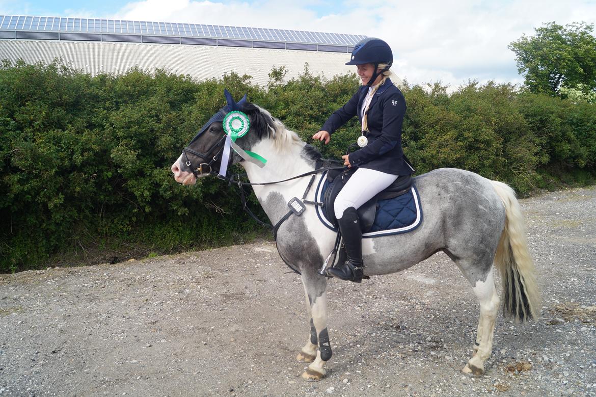 Anden særlig race Clements Stardust |*MY STAR*| billede 17