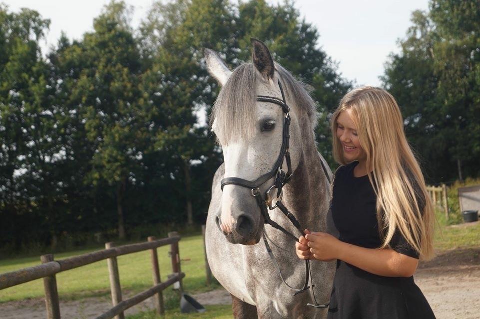 DSP Hedevangs acaja billede 13