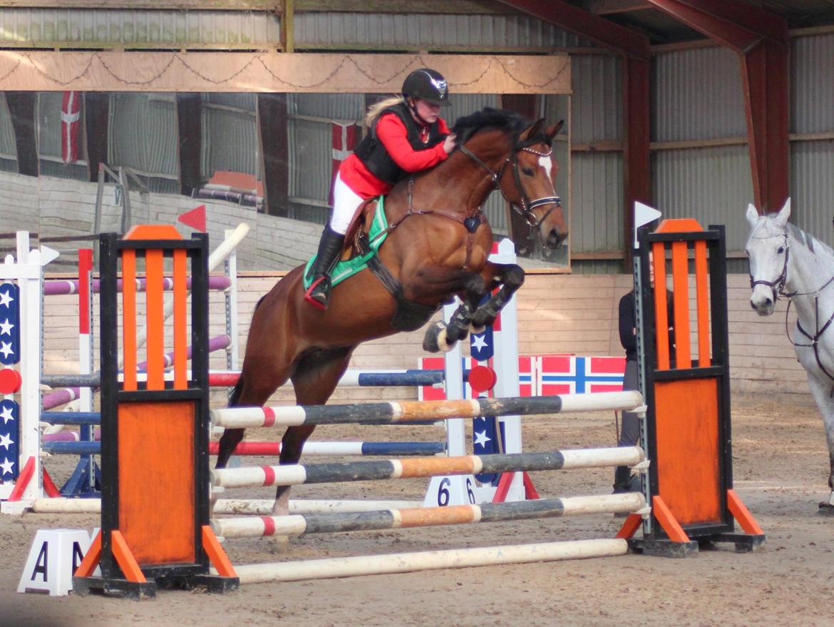 Polsk Varmblod She Can - Klarup C stævne 09.04.2017 LC billede 14