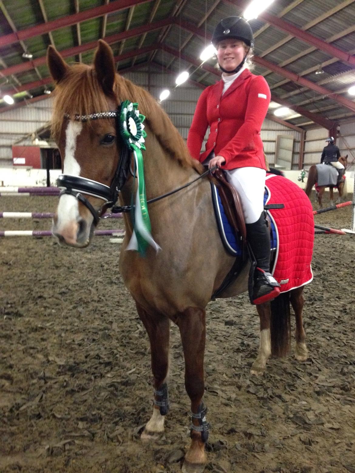 New Forest Beatrice billede 31