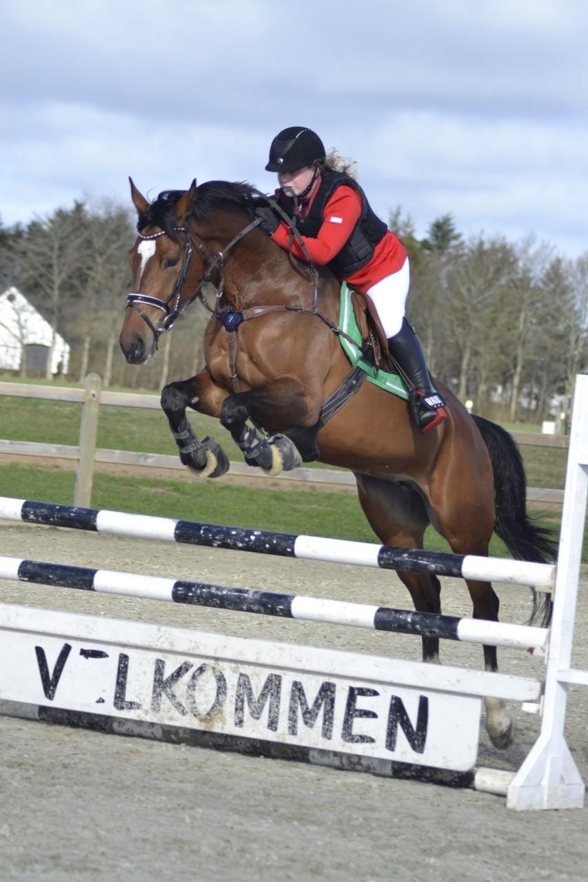 Polsk Varmblod She Can - Hjallerup C stævne 13.04.2017 billede 19