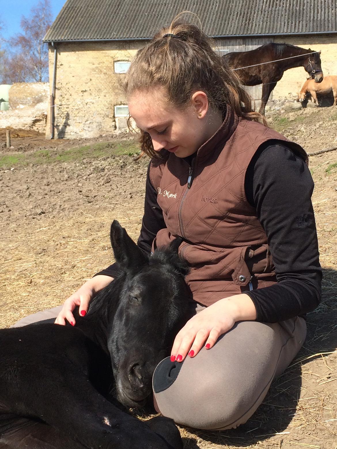 Oldenborg Cher de frei M.A.T.C.H - Cher og jeg April 2015 billede 2