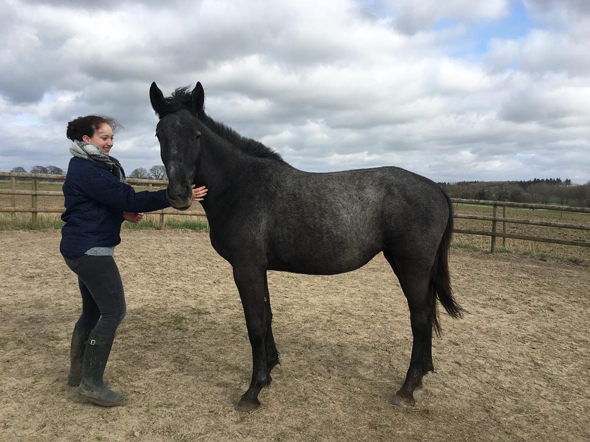 Oldenborg Cher de frei M.A.T.C.H - Cher og jeg, April 2017 billede 9