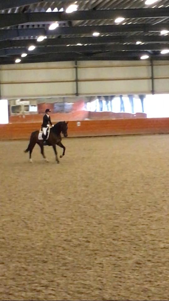 Dansk Varmblod Calibra-agg - Fra vores første LA4! 2. plads med 68.235% - stjernehest! billede 4