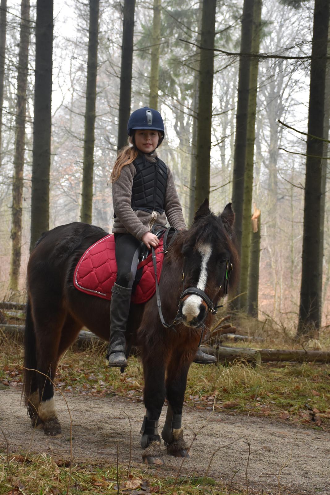 Anden særlig race Betty billede 7