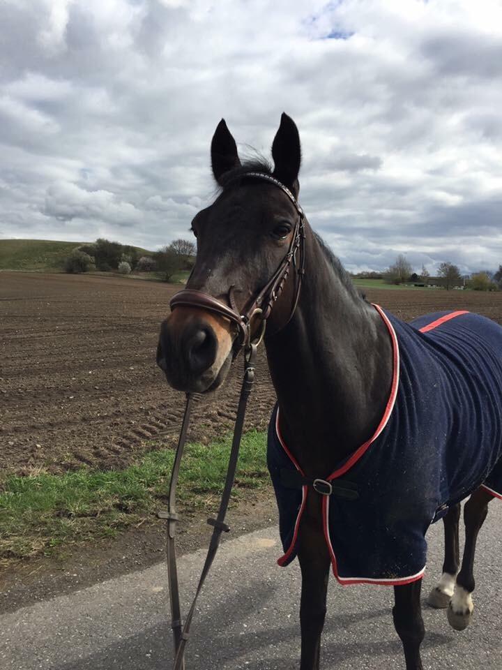 DSP - Buegårds Saturn billede 9