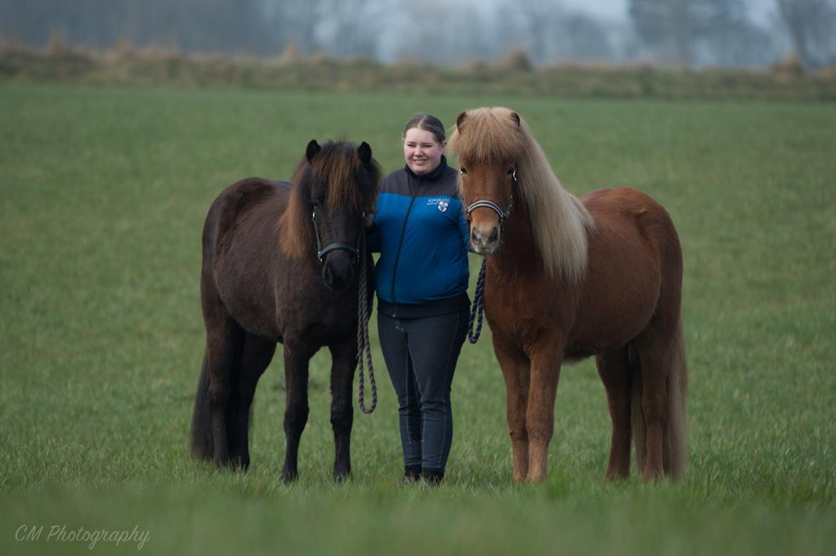 Islænder Gjöf fra Østervang billede 32