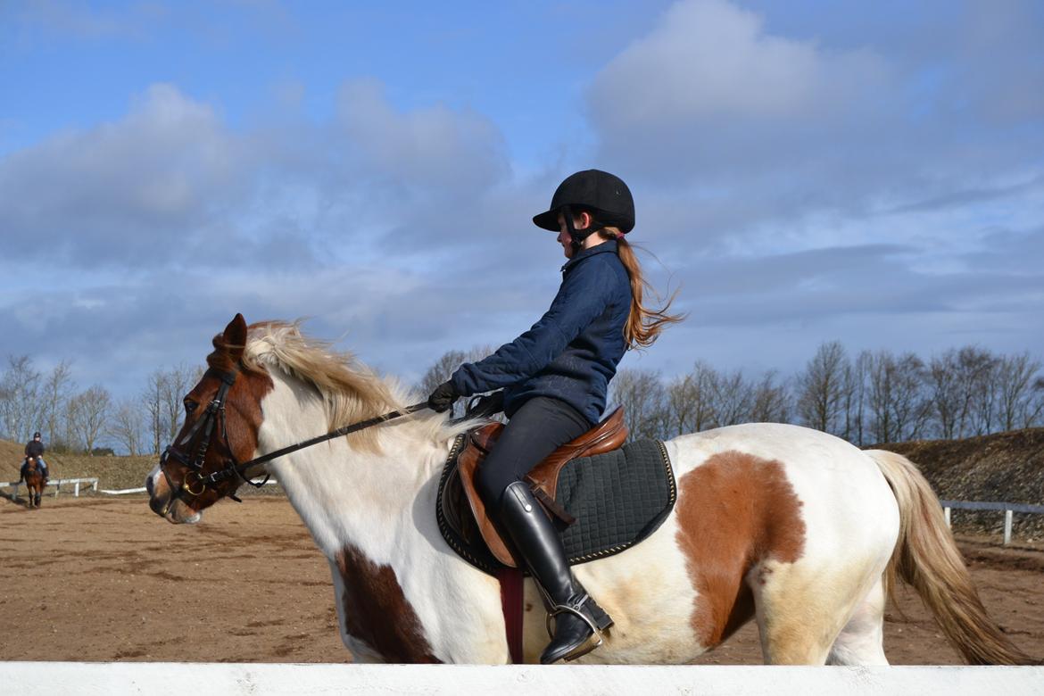 Anden særlig race Susan. (SAVNES!!!) billede 9