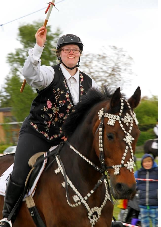 Dansk Varmblod Kløvermarkens Romanette billede 5