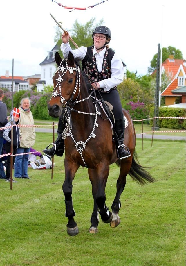Dansk Varmblod Kløvermarkens Romanette billede 6